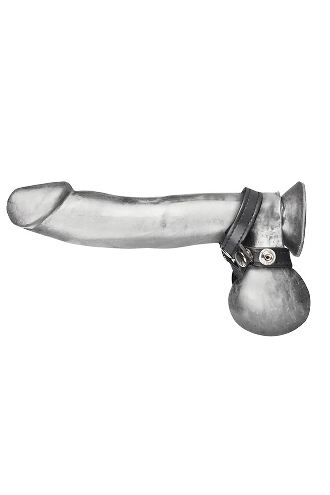 Electric Eel - Blue Line - 8 Style Ball Divider - Stag Shop