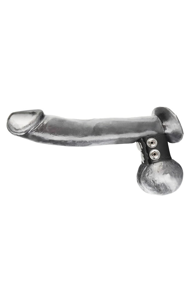 Electric Eel - Blue Line - 1.5" Snap Ball Stretcher - Black - Stag Shop