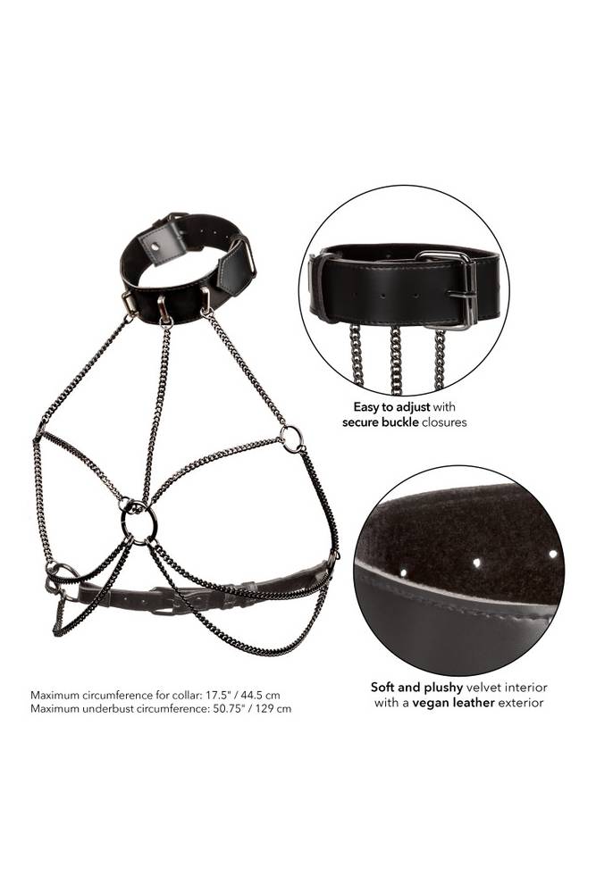 Cal Exotics - Euphoria Collection - Multi Chain Collar Harness - Plus Size - Black - Stag Shop