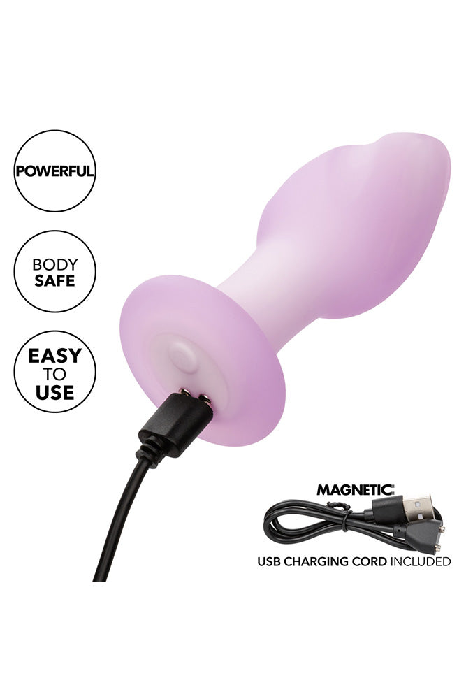 Cal Exotics - Lavender Haze - Ridge Probe Vibrating Anal Plug - Lavender - Stag Shop