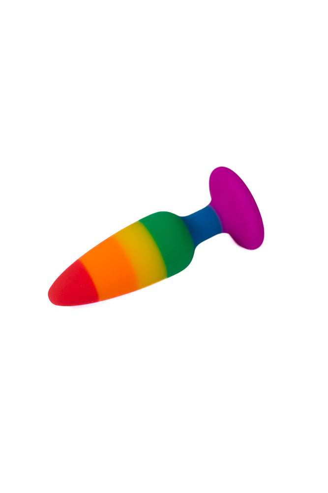 NS Novelties - Colours - Pride Edition - Pleasure Butt Plug - Assorted Sizes - Stag Shop