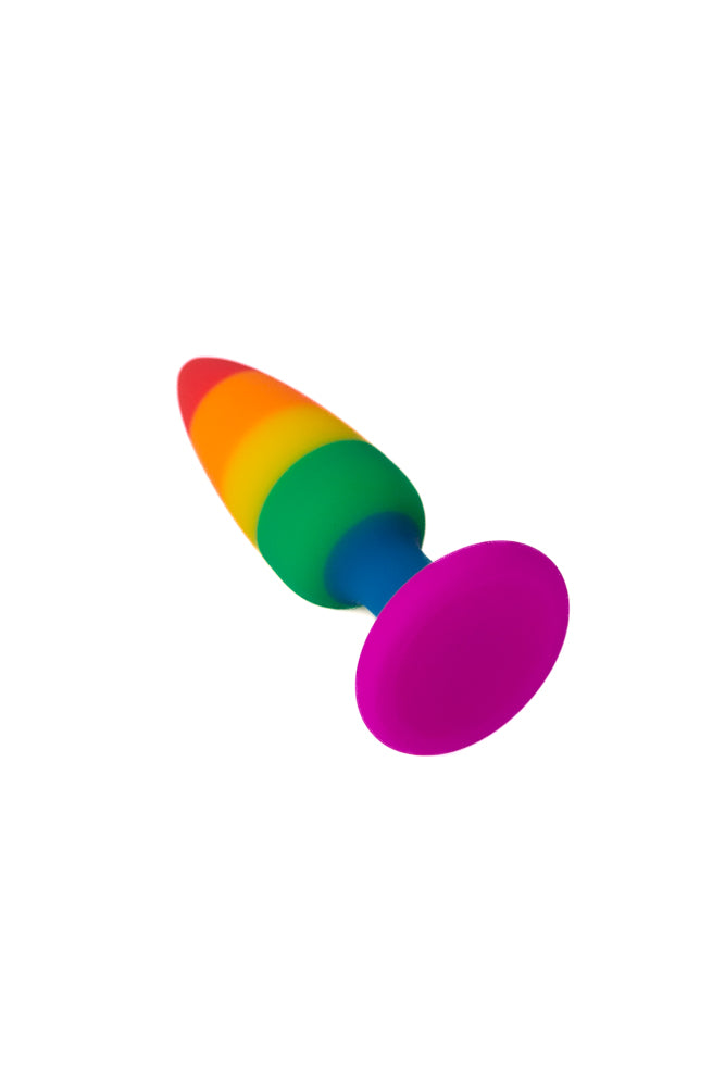 NS Novelties - Colours - Pride Edition - Pleasure Butt Plug - Assorted Sizes - Stag Shop
