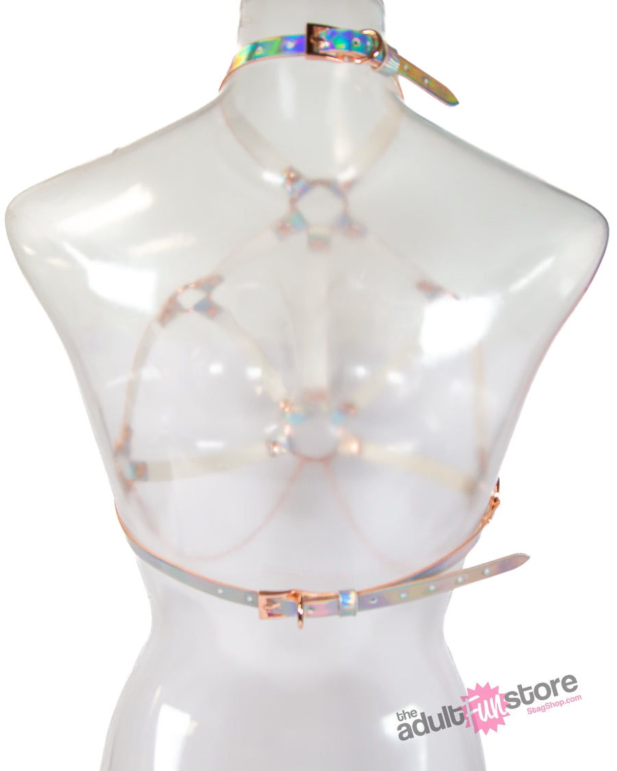 NS Novelties - Cosmo Bondage - Crave Harness Bra - Stag Shop