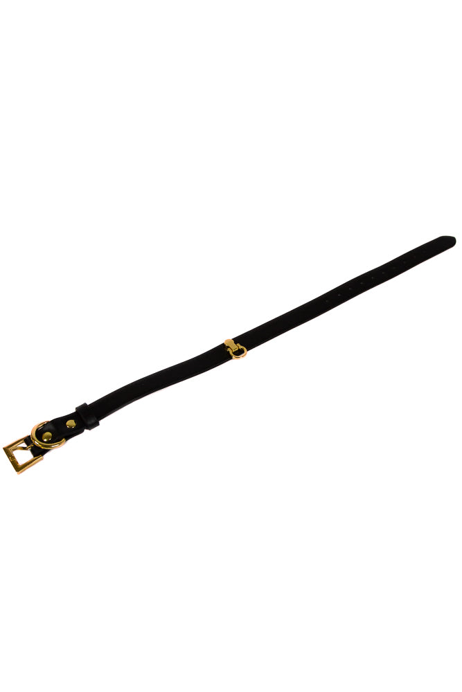 NS Novelties - Fetish & Fashion - Cara Collar - Black/Gold - Stag Shop