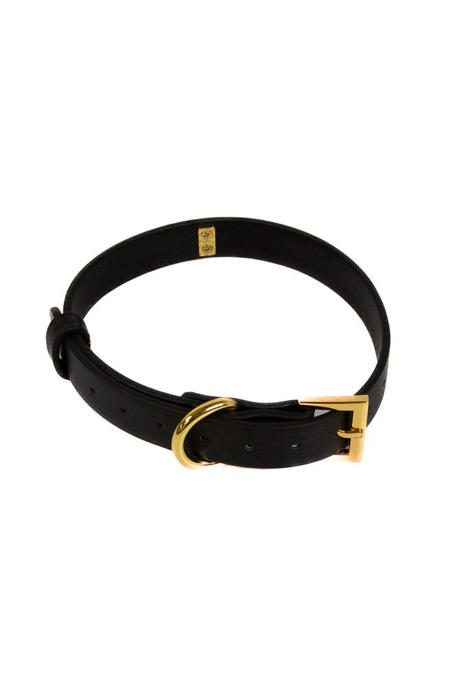 NS Novelties - Fetish & Fashion - Cara Collar - Black/Gold - Stag Shop