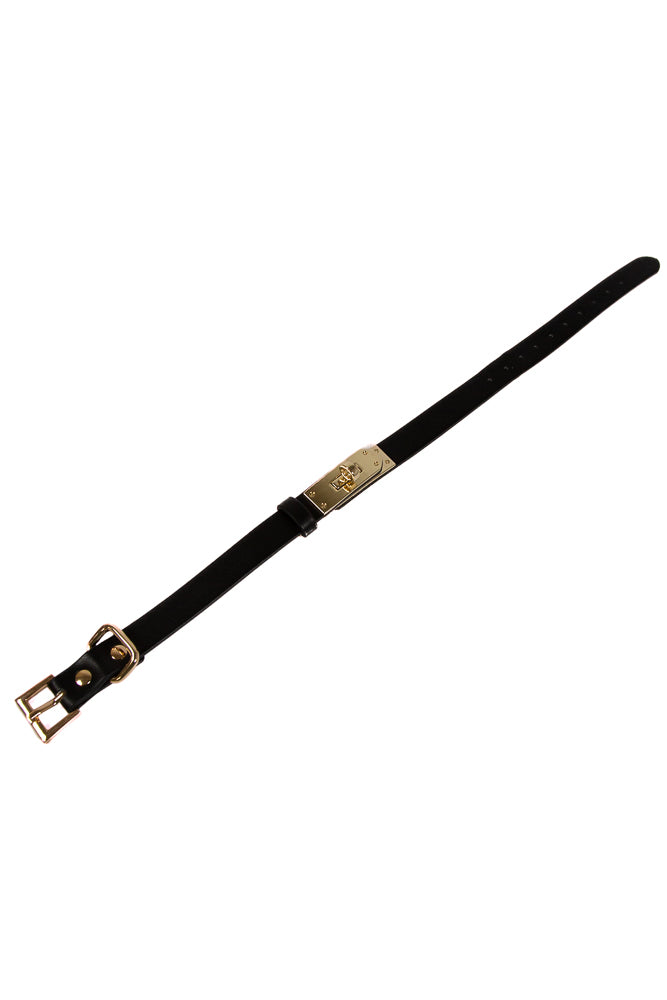 NS Novelties - Fetish & Fashion - Sadie Collar - Black/Gold - Stag Shop