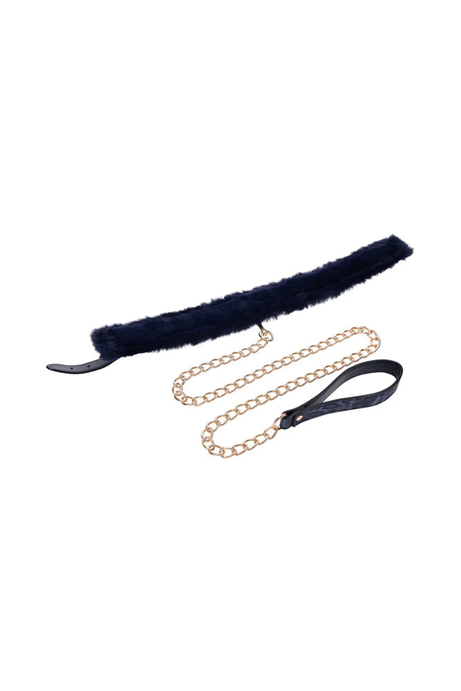 Sex & Mischief - Cougar - Collar & Leash - Blue/Gold - Stag Shop