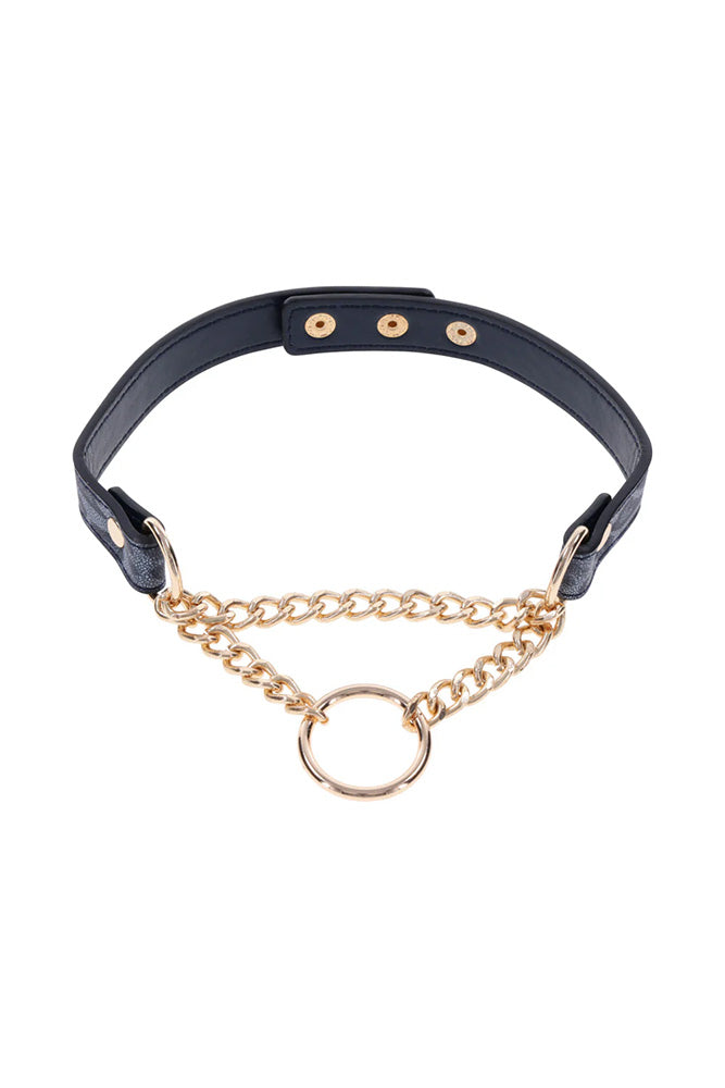 Sex & Mischief - Cougar - Day Collar - Blue/Gold - Stag Shop