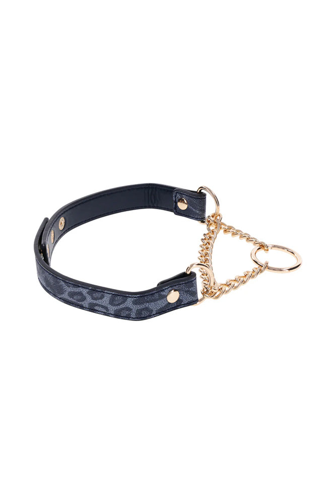 Sex & Mischief - Cougar - Day Collar - Blue/Gold - Stag Shop