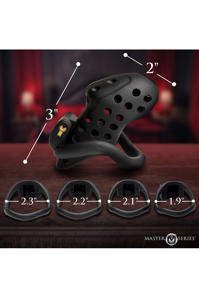 XR Brands - Master Series - Lock Down Chastity Cage - Stag Shop