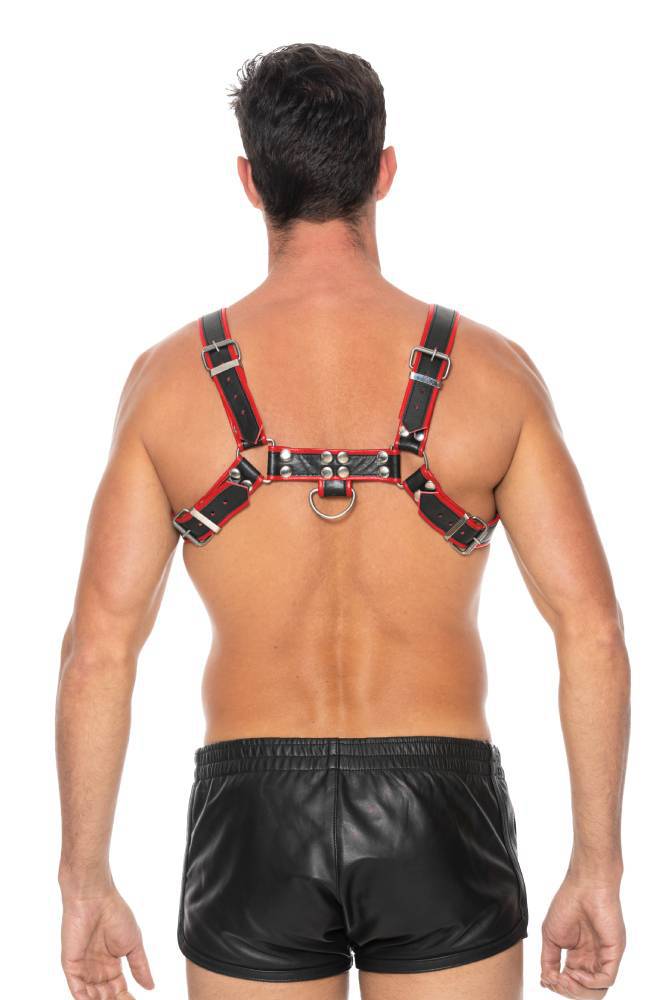 Ouch by Shots Toys - Bulldog Chest Harness - Red - SM - Stag Shop