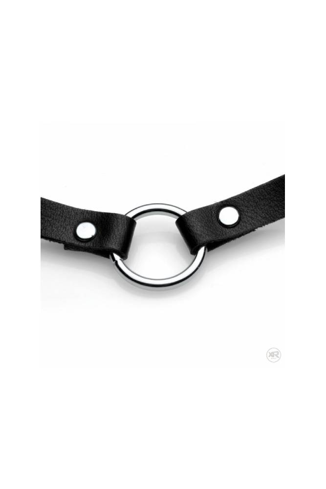 XR Brands - Master Series - Lush Pet Silver Ring Slim Collar - Black - Stag Shop