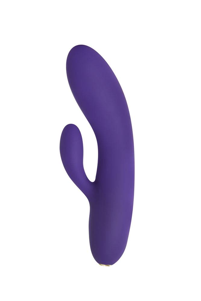 Evolved - Aurora Mood Light Dual Vibrator - Purple - Stag Shop