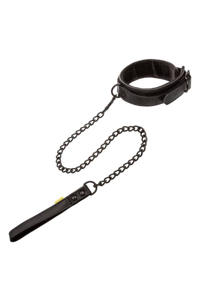 Cal Exotics - Boundless - Collar and Leash - Black - Stag Shop