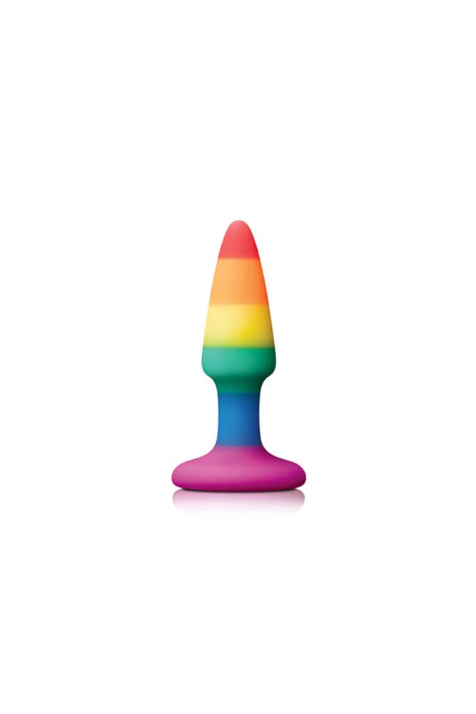 NS Novelties - Colours - Pride Edition - Pleasure Butt Plug - Assorted Sizes - Stag Shop