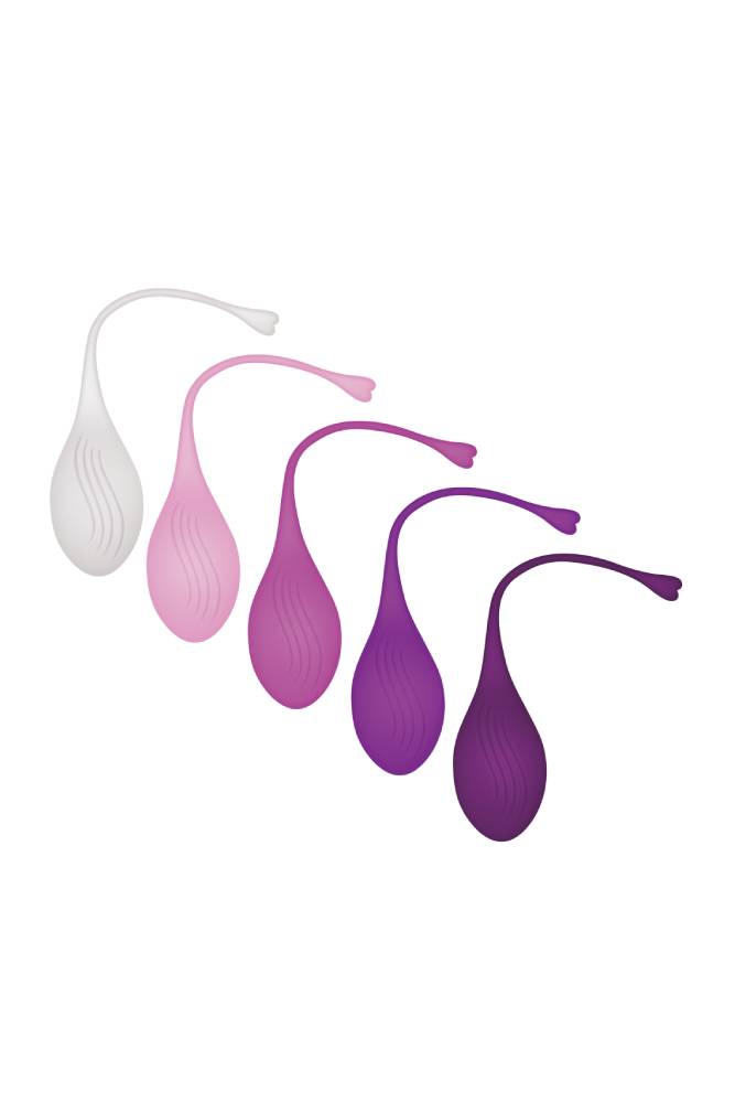 Evolved - Tight & Delight 5 Piece Kegel Ball Set - Multicolour - Stag Shop