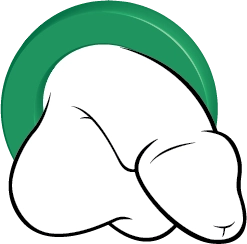 An illustrated penis wearing a green cock ring.