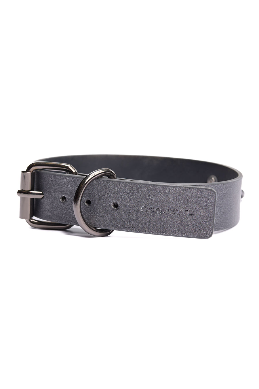 Coquette - 25605 - Collar & Leash - Stag Shop