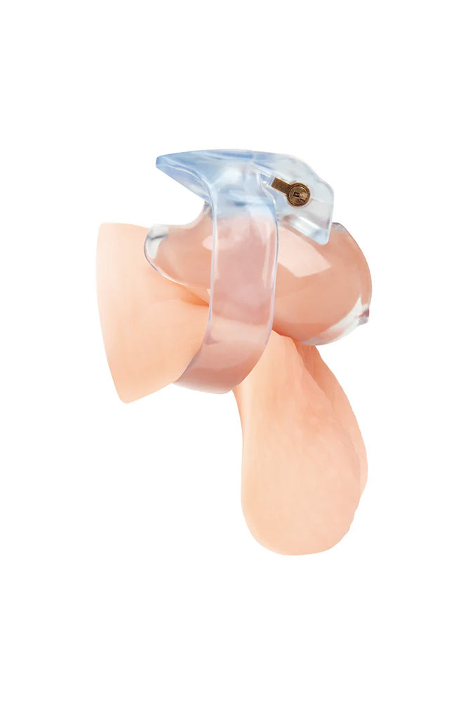 Blue Line - Small Dick Acrylic Mini Chastity Cage - Stag Shop