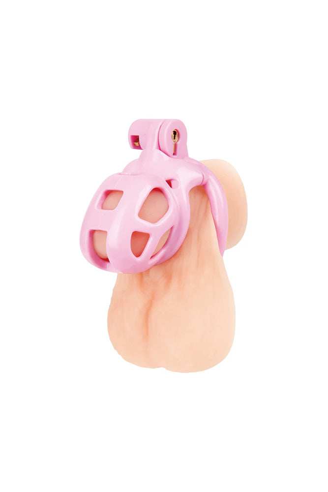 Blue Line - Small Pink Humiliation Acrylic Prisoner Cock Cage - Stag Shop