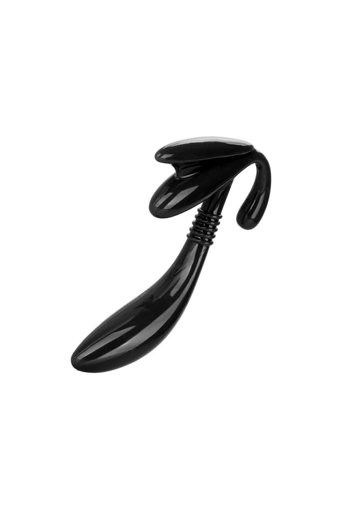 Cal Exotics - Apollo - Curved Prostate Probe - Black - Stag Shop
