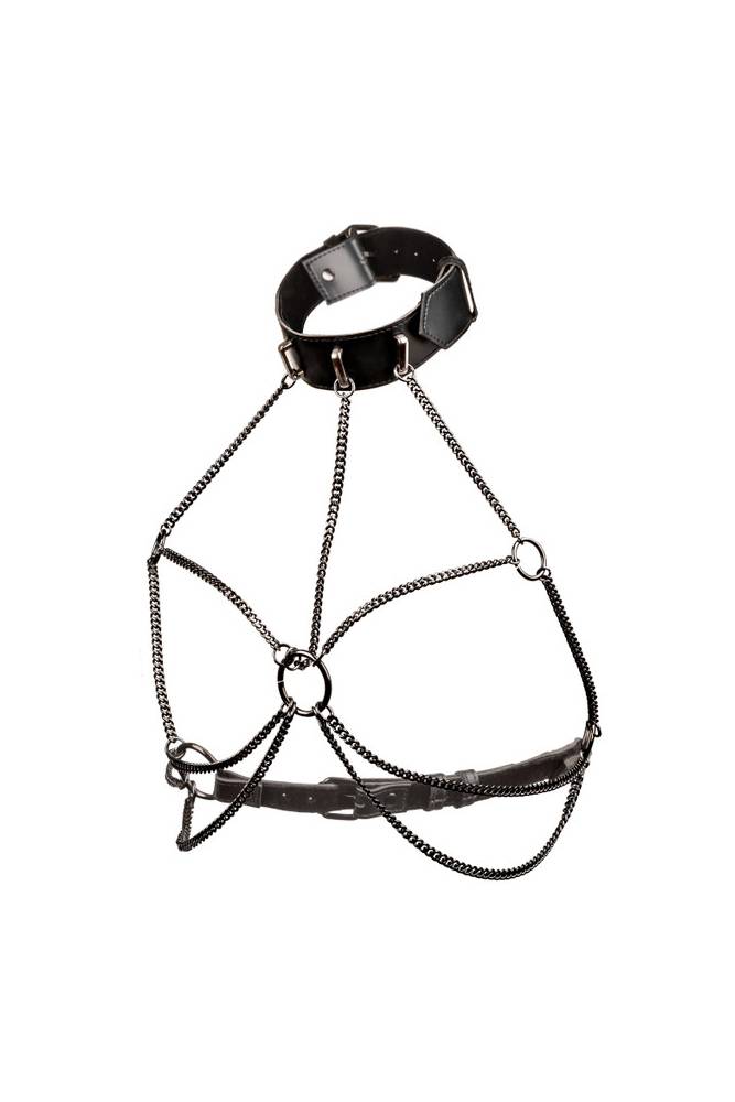 Cal Exotics - Euphoria Collection - Multi Chain Collar Harness - Plus Size - Black - Stag Shop