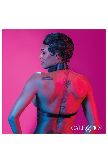 Cal Exotics - Euphoria Collection - Multi Chain Collar Harness - Black - Stag Shop