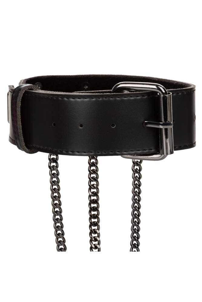 Cal Exotics - Euphoria Collection - Multi Chain Collar Harness - Black - Stag Shop