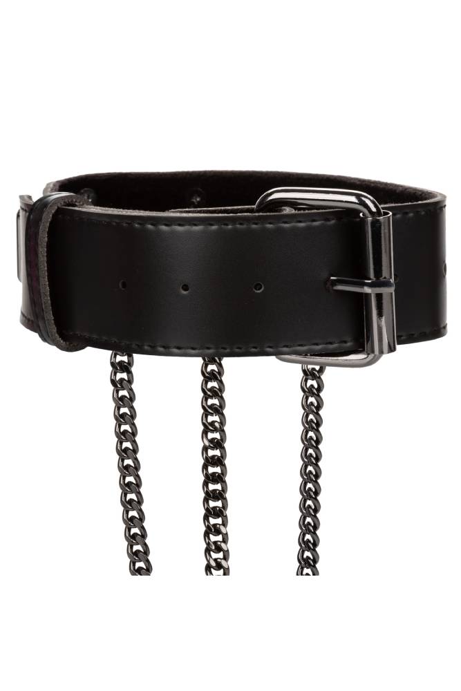 Cal Exotics - Euphoria Collection - Multi Chain Collar Harness - Plus Size - Black - Stag Shop