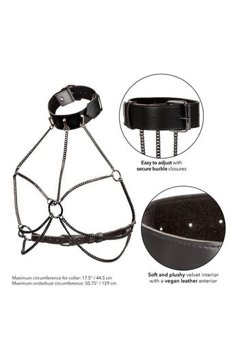 Cal Exotics - Euphoria Collection - Multi Chain Collar Harness - Plus Size - Black - Stag Shop