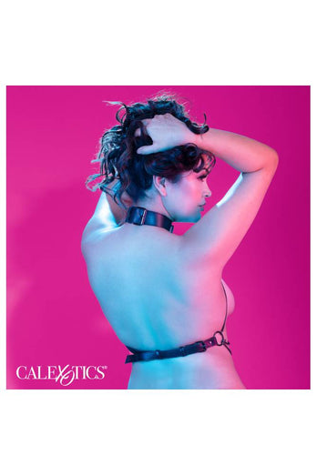 Cal Exotics - Euphoria Collection - Multi Chain Collar Harness - Plus Size - Black - Stag Shop