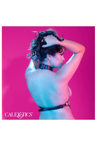 Thumbnail for Cal Exotics - Euphoria Collection - Multi Chain Collar Harness - Plus Size - Black - Stag Shop