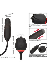 Cal Exotics - French Kiss - Romeo Lover Flickering and Thrusting Vibrator - Black - Stag Shop