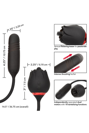 Cal Exotics - French Kiss - Romeo Lover Flickering and Thrusting Vibrator - Black - Stag Shop