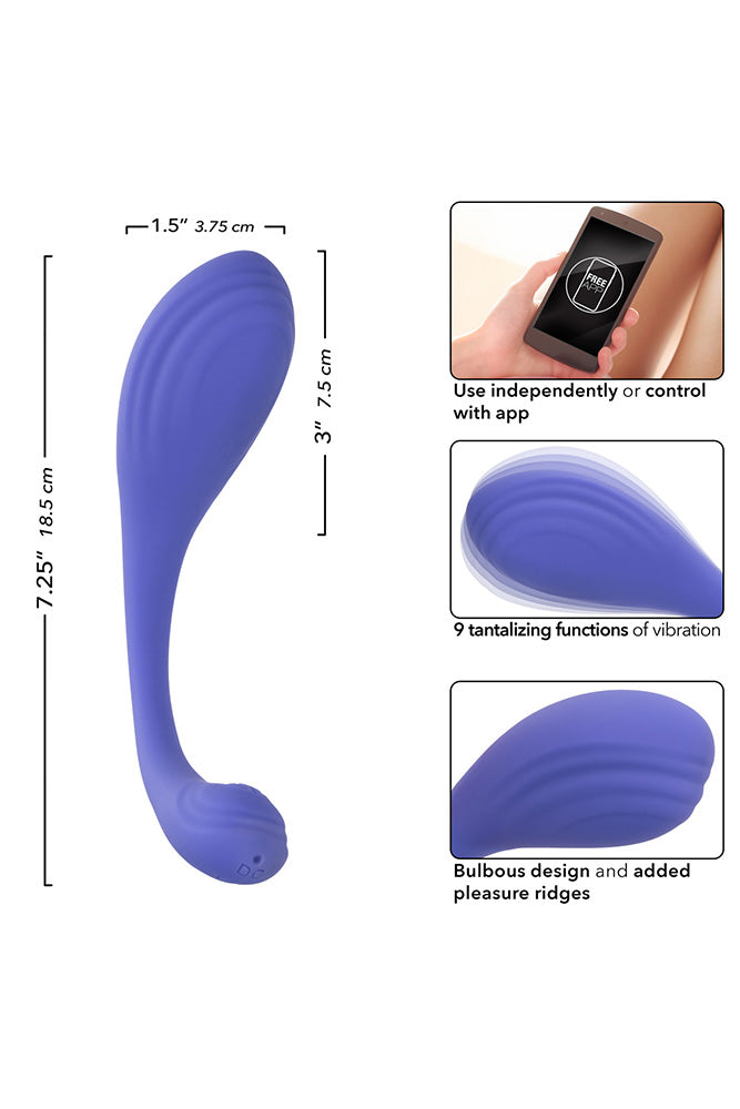 Cal Exotics - Connect - Kegel Exerciser With App Control - Blue - Stag Shop