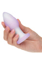 Cal Exotics - Lavender Haze - Ridge Probe Vibrating Anal Plug - Lavender - Stag Shop