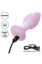Cal Exotics - Lavender Haze - Ridge Probe Vibrating Anal Plug - Lavender - Stag Shop