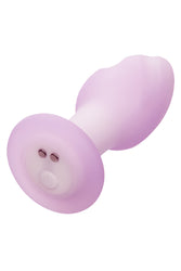 Cal Exotics - Lavender Haze - Ridge Probe Vibrating Anal Plug - Lavender - Stag Shop