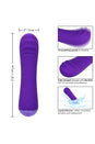 Cal Exotics - Thicc - Chubby Buddy Vibrator - Purple - Stag Shop