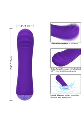 Cal Exotics - Thicc - Chubby Buddy Vibrator - Purple - Stag Shop