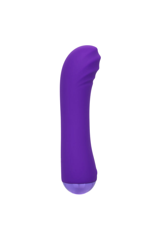 Cal Exotics - Thicc - Chubby Buddy Vibrator - Purple - Stag Shop