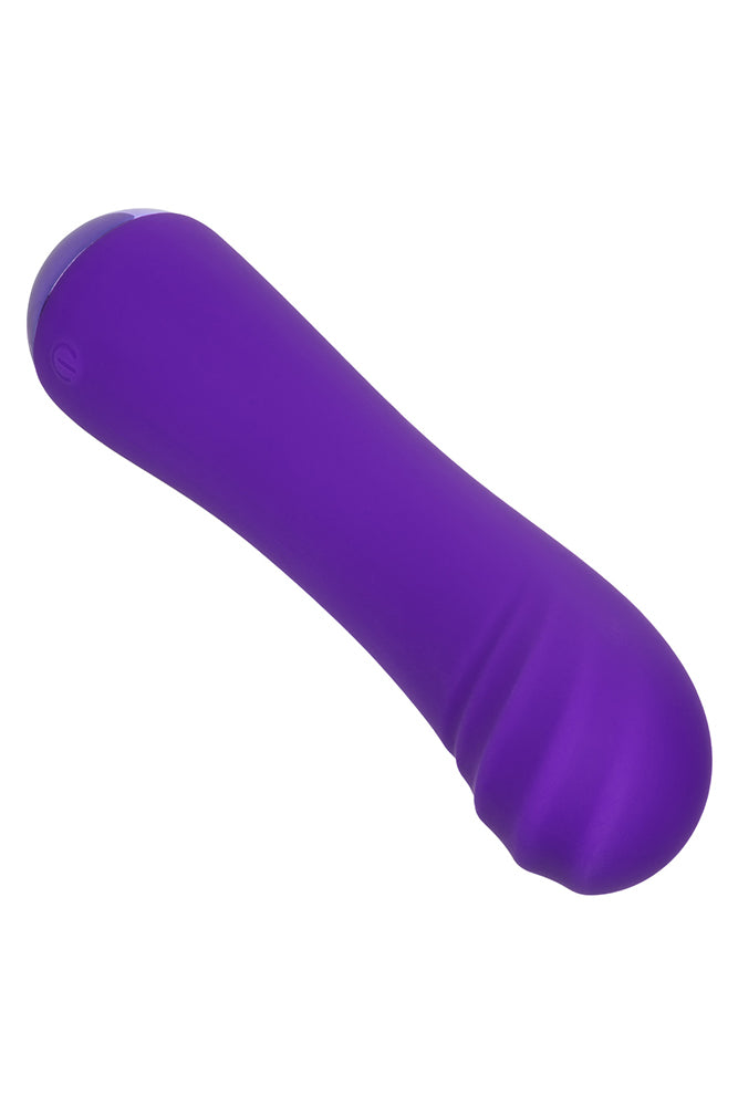 Cal Exotics - Thicc - Chubby Buddy Vibrator - Purple - Stag Shop