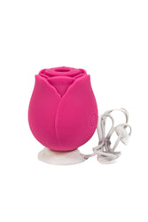 Cousins Group - Intimately GG - Rose Suction Clitoral Stimulator - Stag Shop