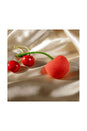 Emojibator - Cherry Vibrator - Red - Stag Shop