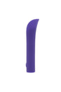 Evolved - Full Coverage Bullet Vibrator - Purple - Stag Shop
