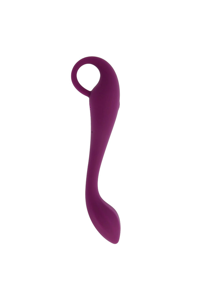 Evolved Novelties - Lochness G Spot Vibrator - Purple - Stag Shop