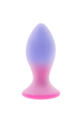 Evolved - Paradise Vibrating & Remote Controlled Anal Plug - Pink/Purple - Stag Shop