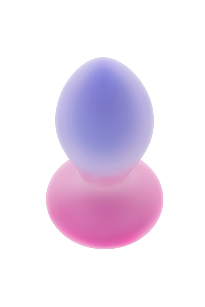 Evolved - Paradise Vibrating & Remote Controlled Anal Plug - Pink/Purple - Stag Shop