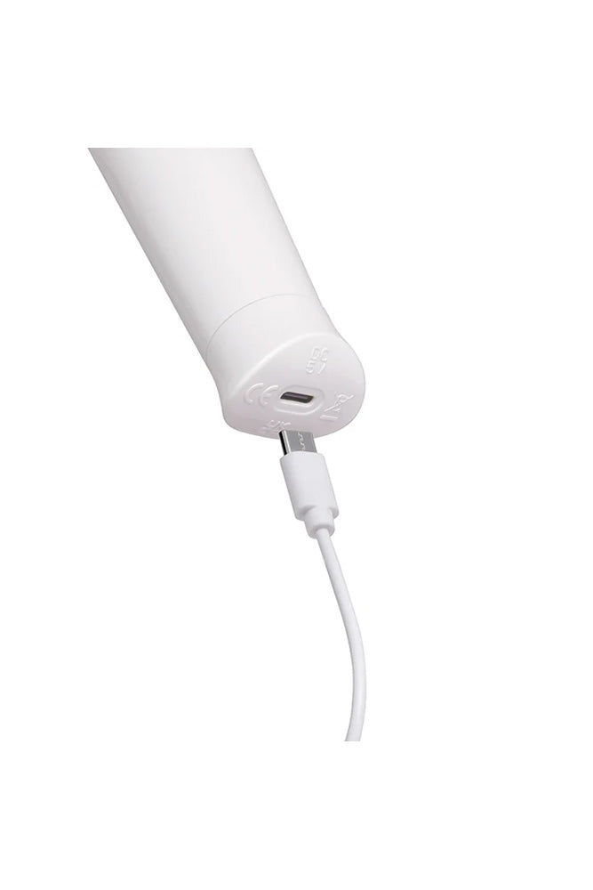 Le Wand - Classique - Petite Original Rechargeable Vibrating Massage Wand