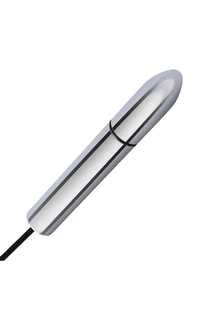 Electric Eel - Lux Fetish - Electro-sex Shock Wand With Remote Control - Silver/Black - Stag Shop